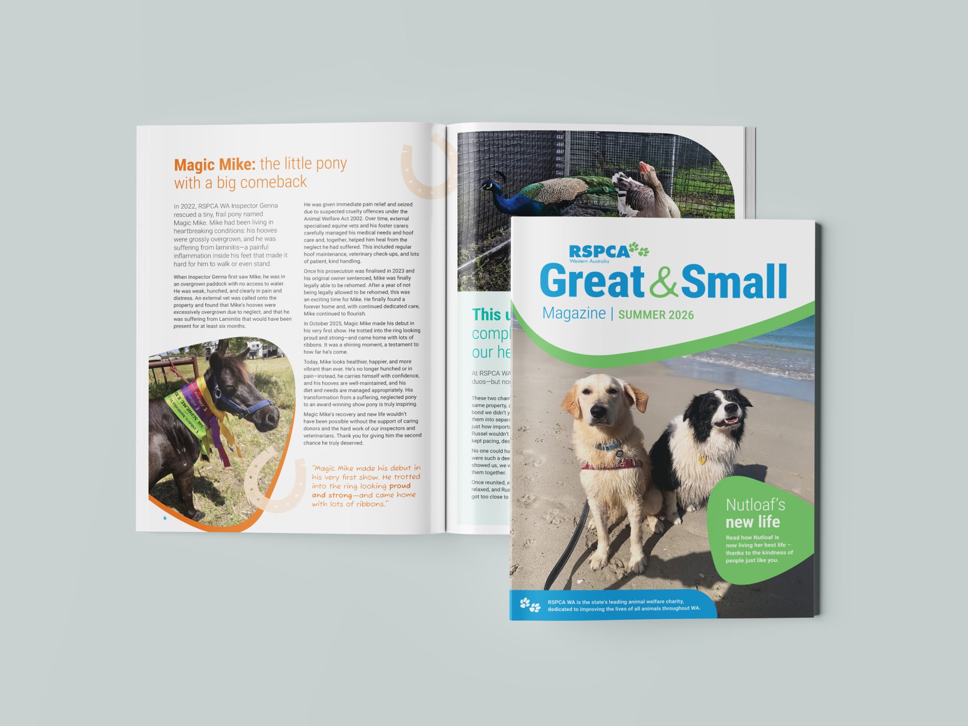 RSPCA WA Magazine